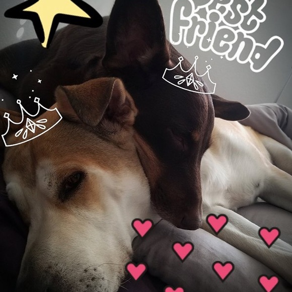 Meet your Posher, Carolee - Picture 7 of 8